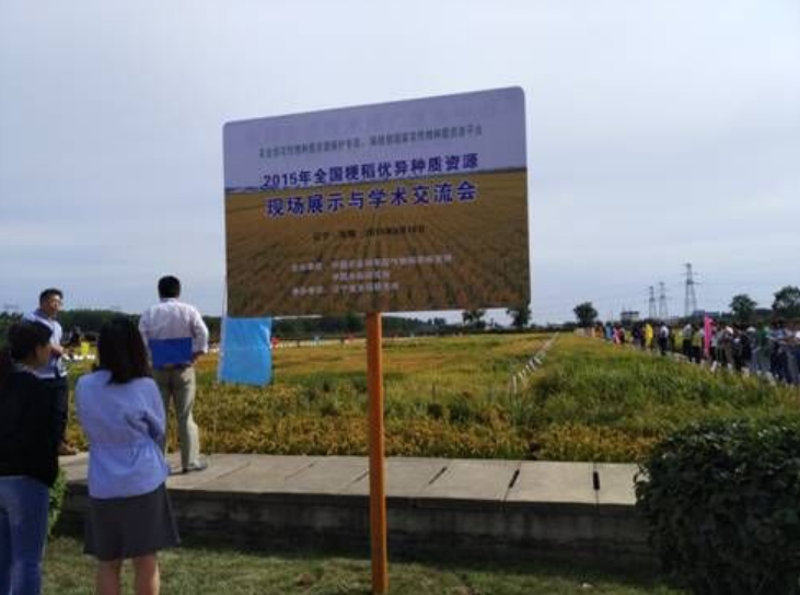 辽宁永利集团3044种业科技有限公司参加全国粳稻优异种质资源现场展示与学术交流会