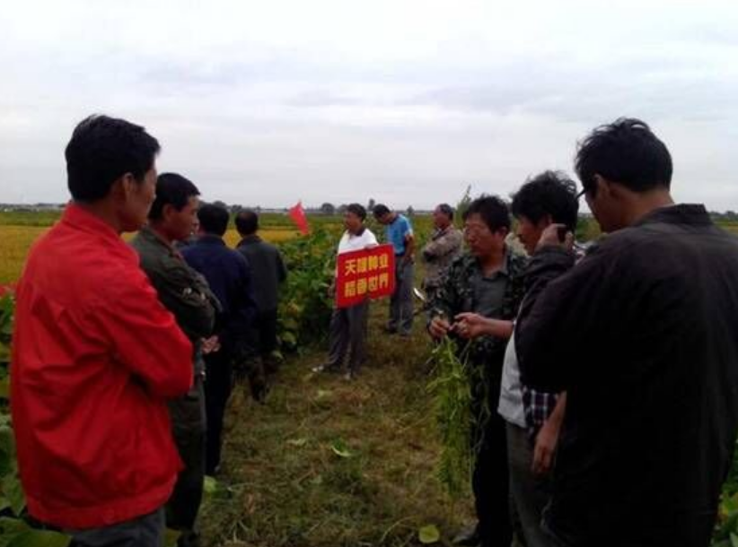 辽宁永利集团3044种业科技有限公司陆续在各地举办水稻观摩会