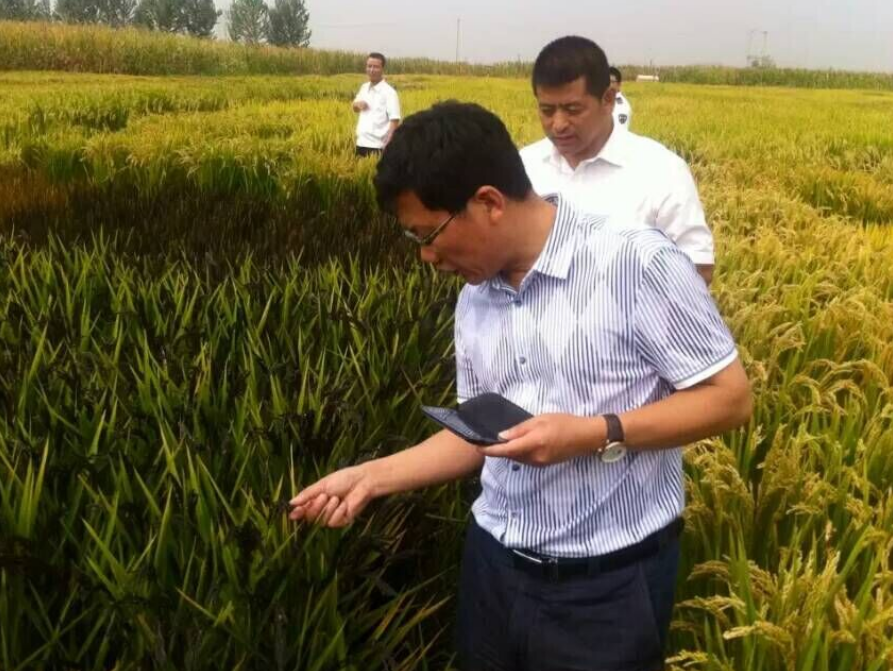 红菱镇党委书记刘晓东等一行到辽宁永利集团3044科技有限公司参观调研