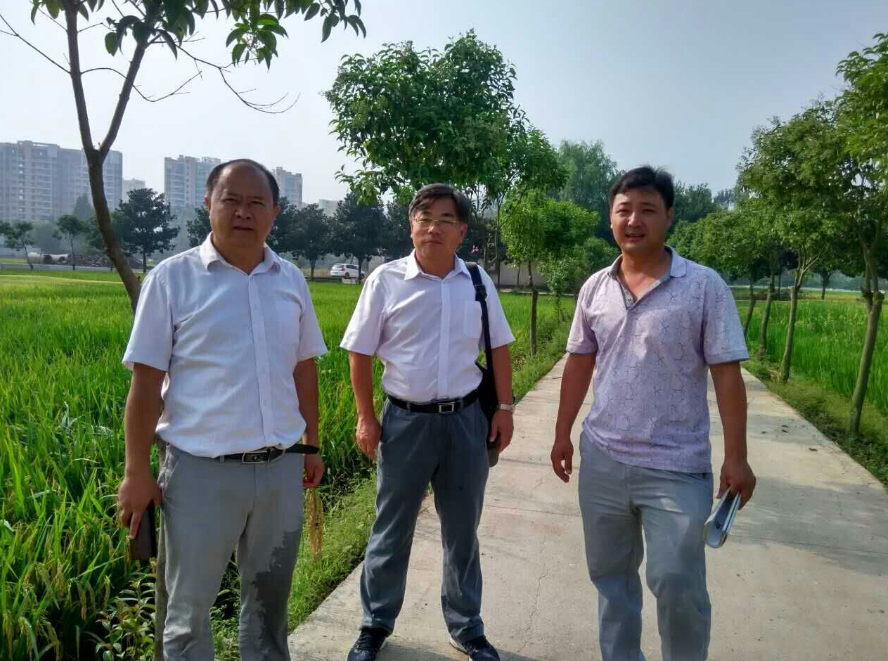 江苏永利集团3044种业科技有限公司信阳工作站接待中国水稻研究所一行访问考察