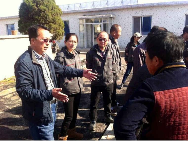 辽宁永利集团3044种业科技有限公司水稻旱地直播技术培训指导初见成效