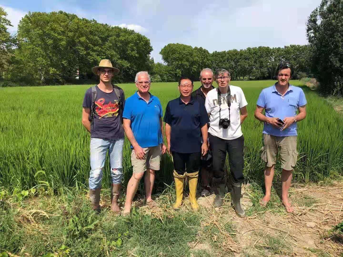 永利集团3044引领中国现代农机走进欧盟