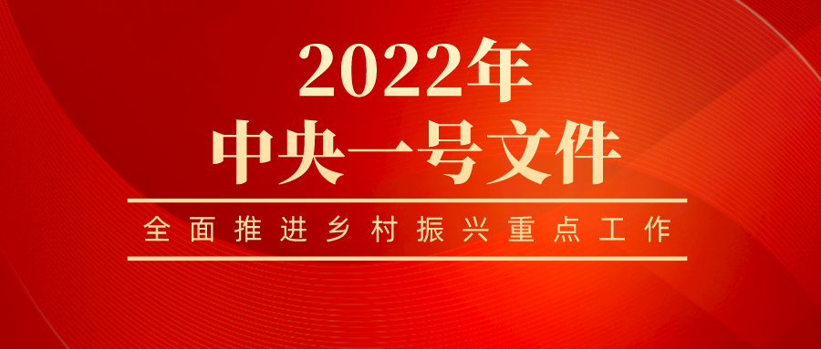 永利集团3044有限公司全员学习贯彻 2022年中央一号文件精神